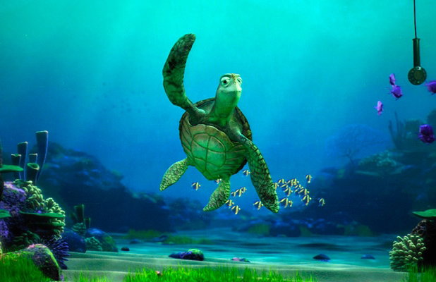 Crush the turtle